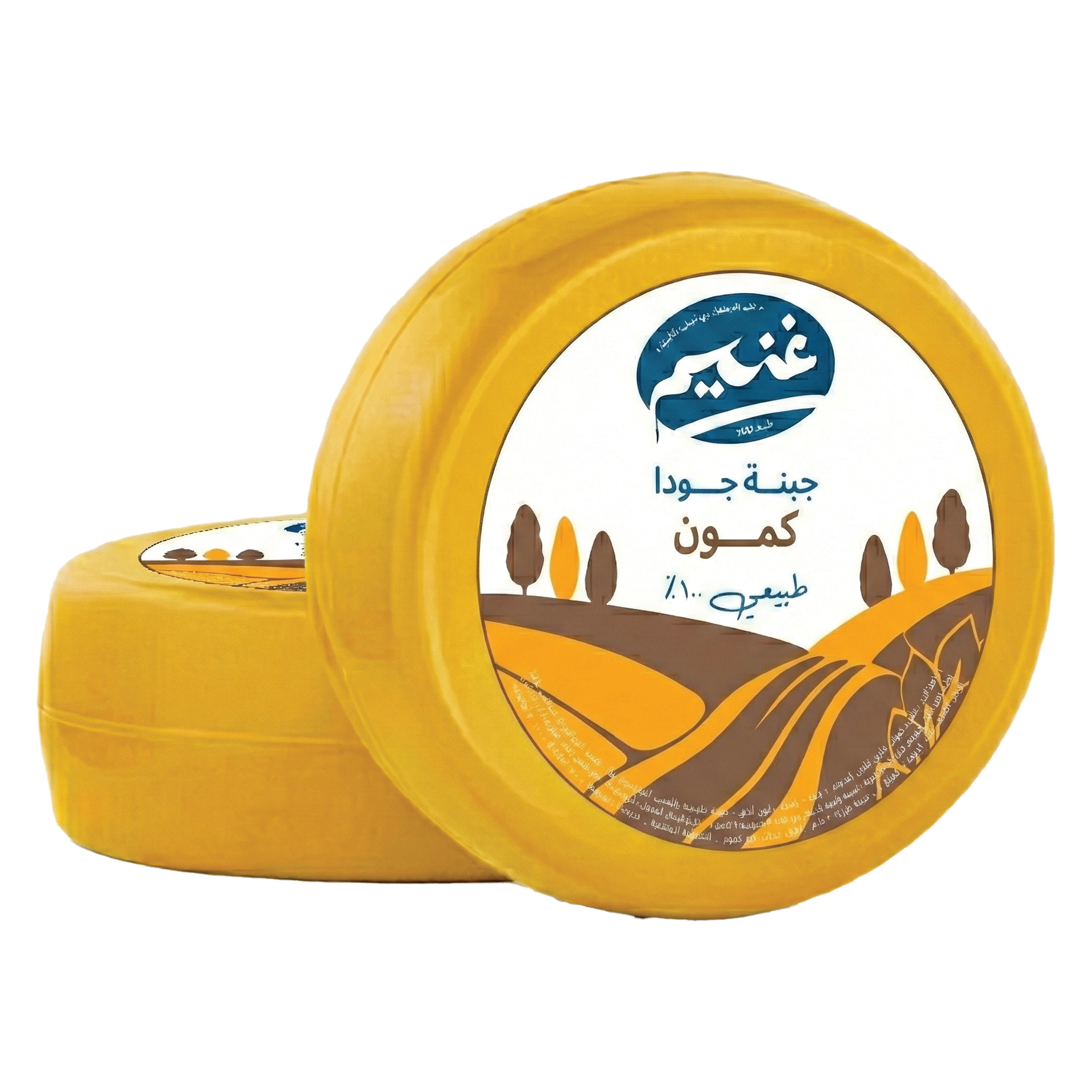 Gouda Cheese with Cumin